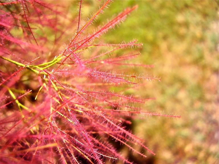 Parco Acque Minerali Imola